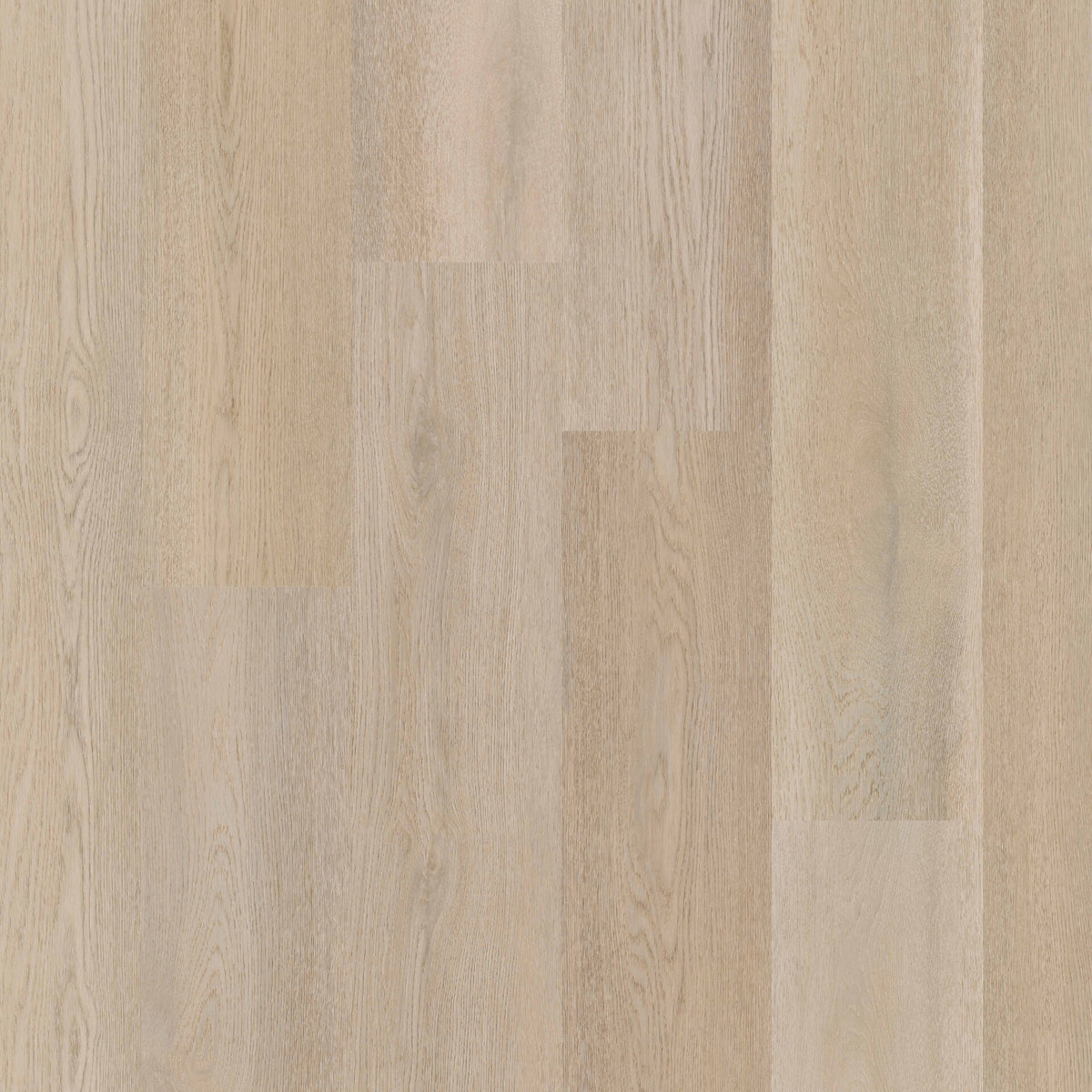 Therdex Premier 15083