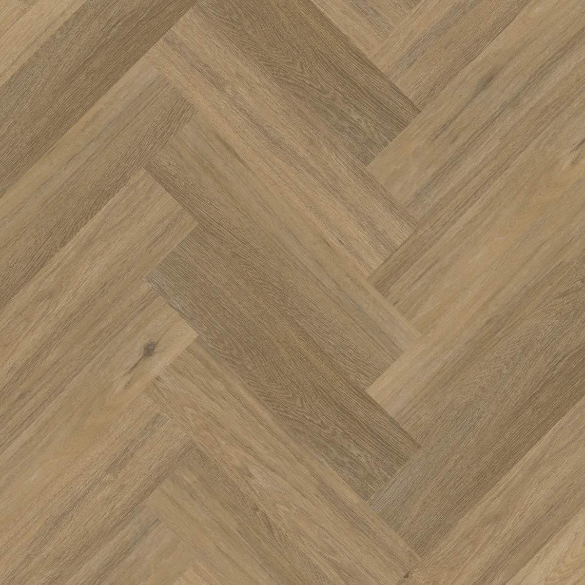Therdex Chevron Visgraat 6044