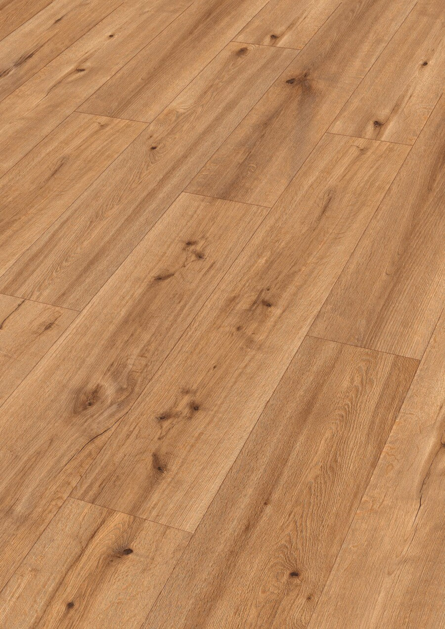 Meister Design DD700 07454 Tacoma oak