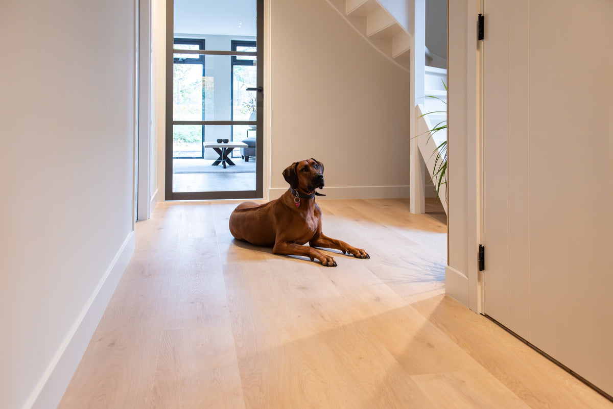 Drie geschikte vloeren voor huisdieren