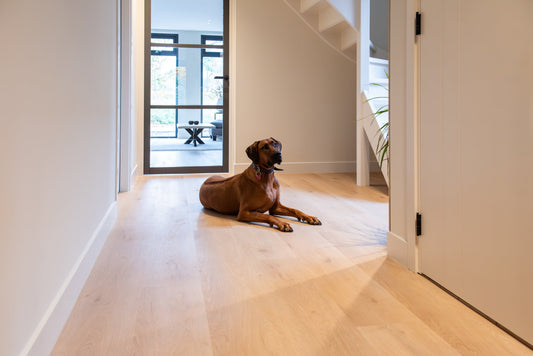 Drie geschikte vloeren voor huisdieren