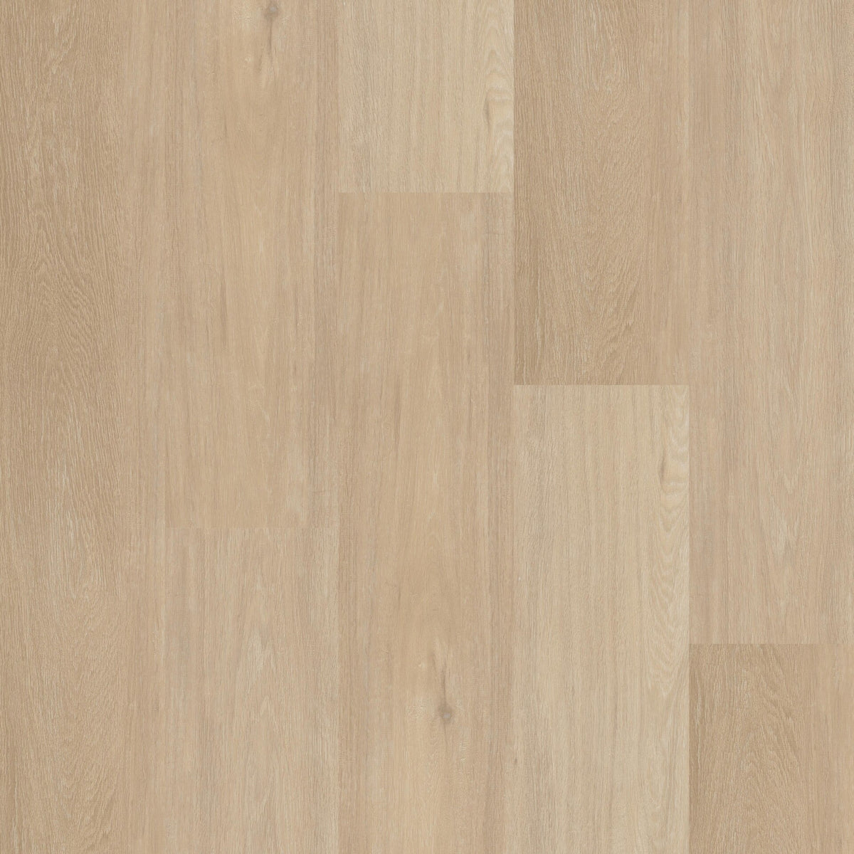 Therdex Chevron Rigid Click C12042