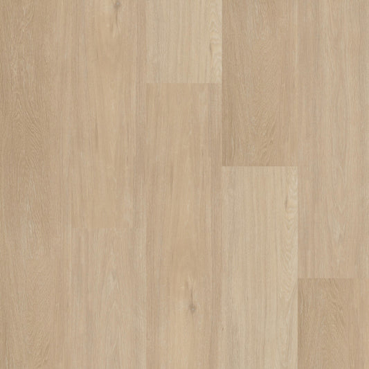 Therdex Chevron Rigid Click C12042