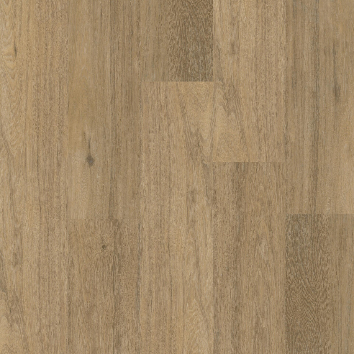 Therdex Chevron 12044