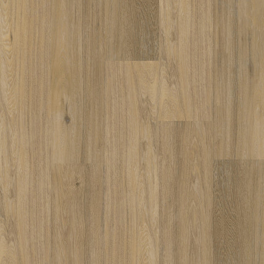 Therdex Chevron 12044