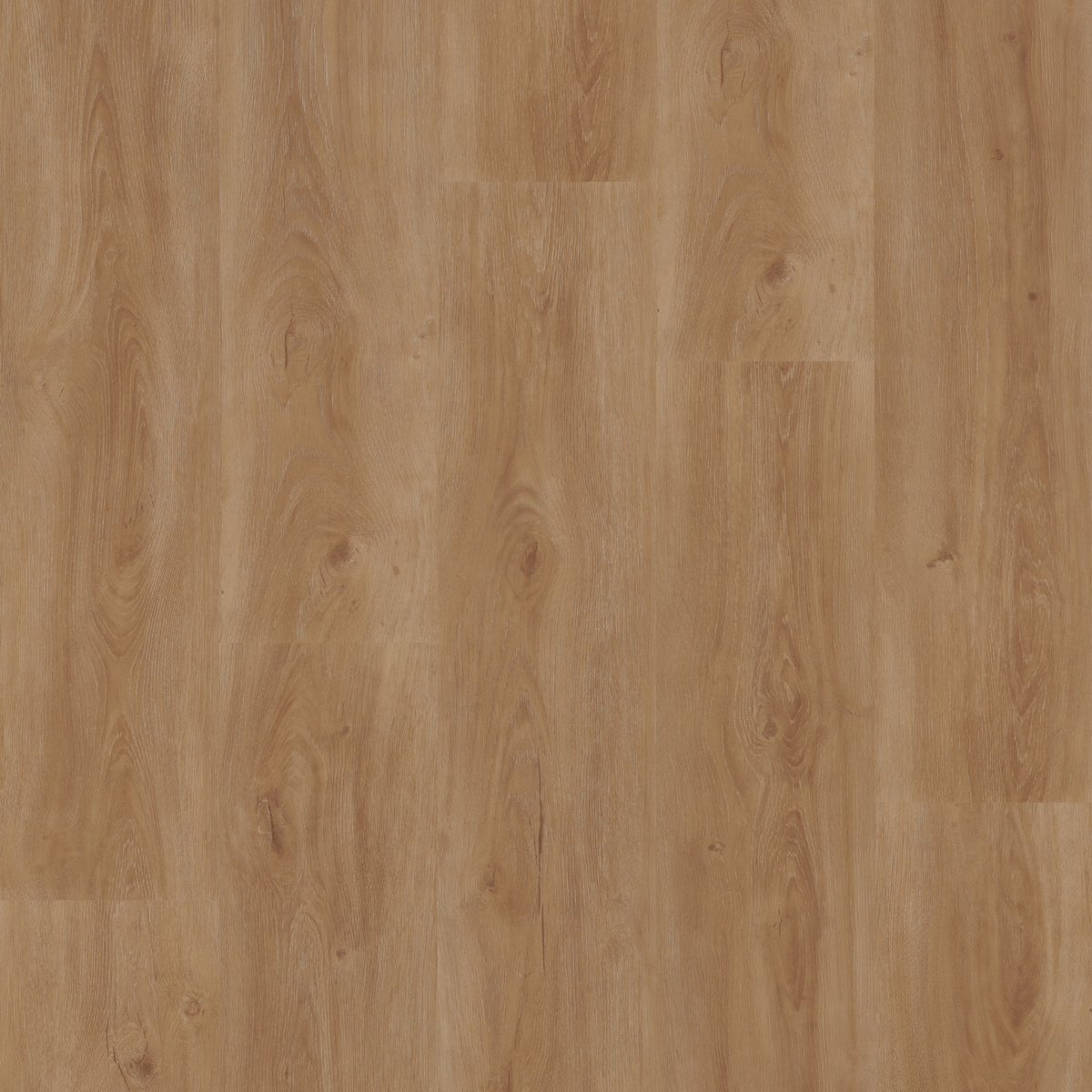 Therdex Rustique Rigid Click C15074