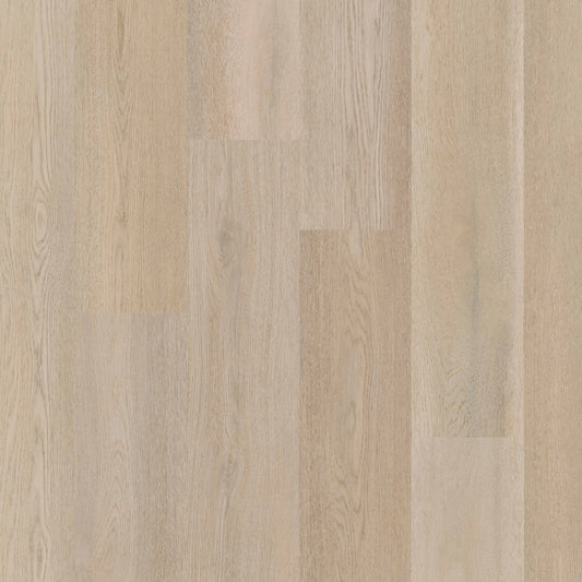 Therdex Premier 15083