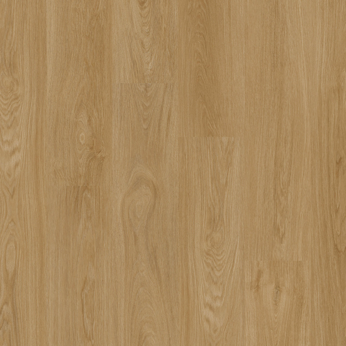 Therdex Classic 15123