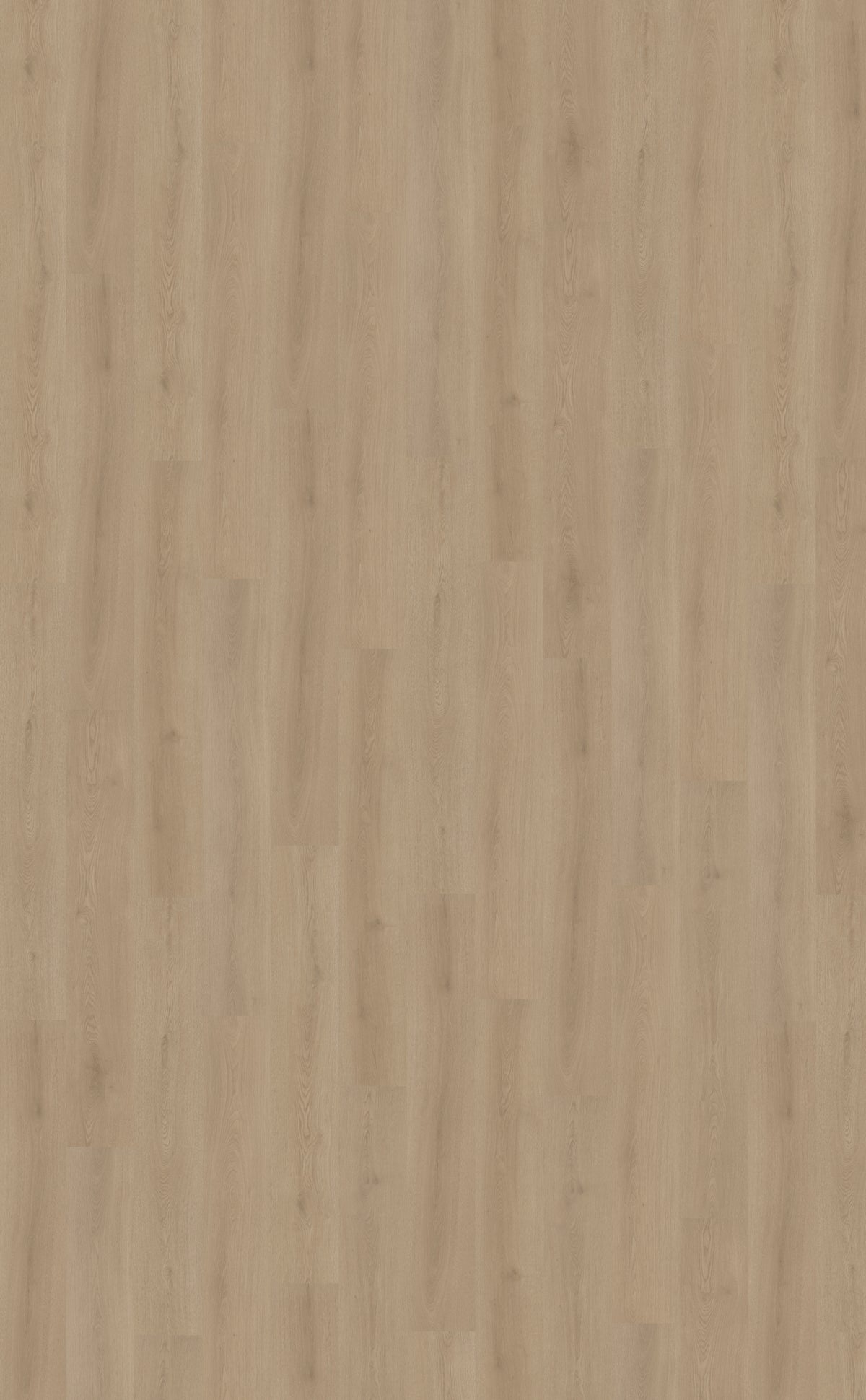 Belakos Puro 460 PVC