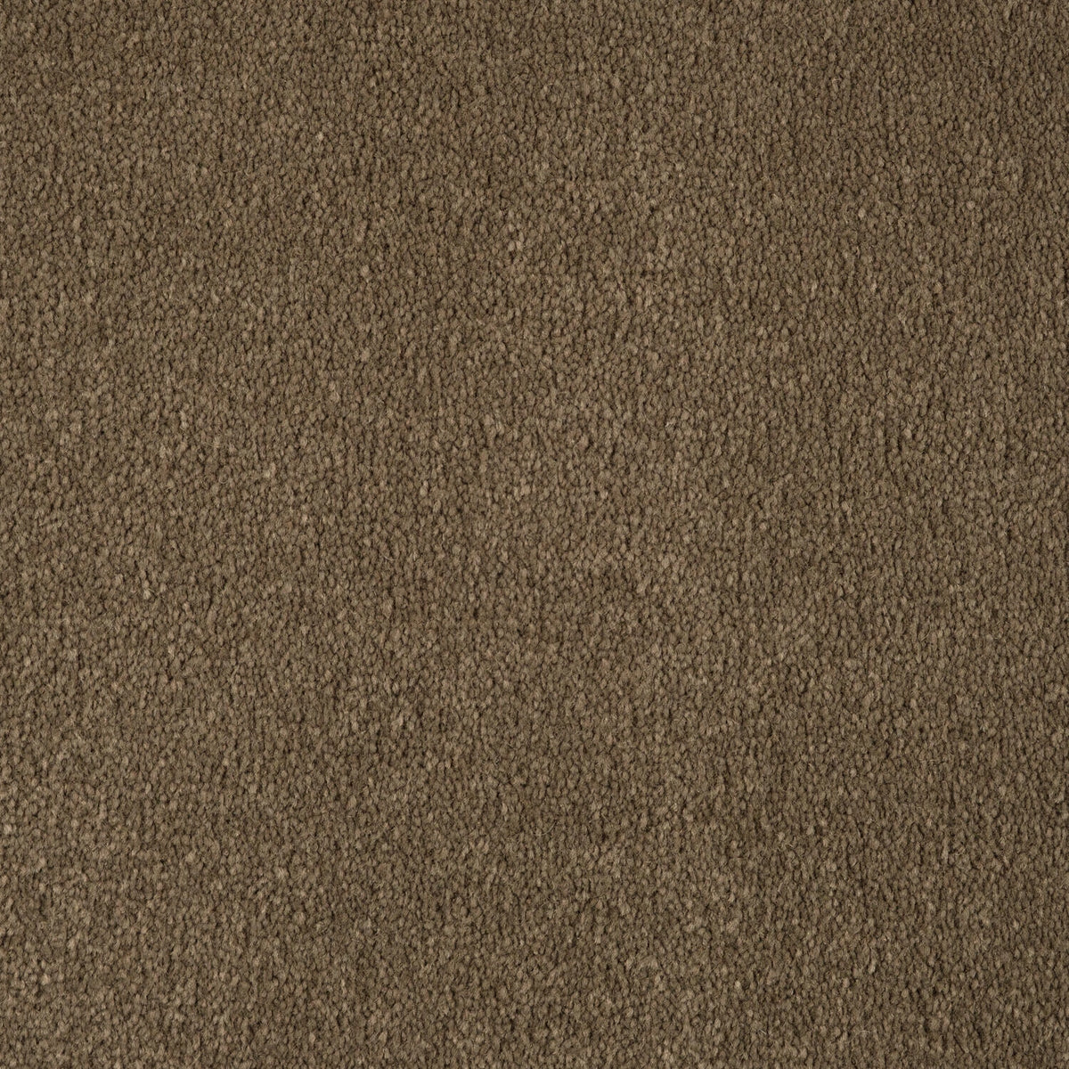 Van Besouw 2613 tapijt – kleur 510