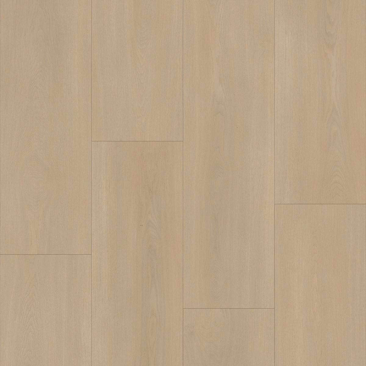 Bodiax BP590 Royal 591