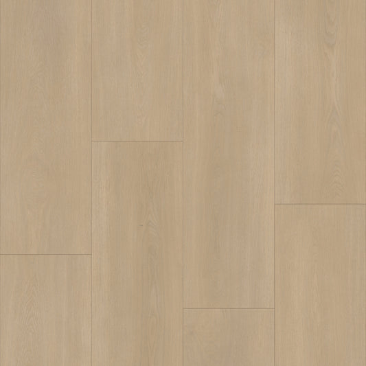 Bodiax BP590 Royal 591