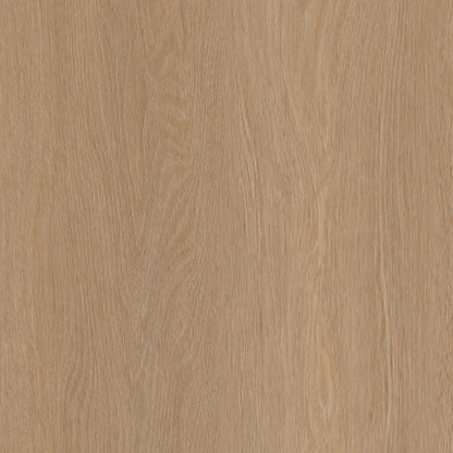 Ambiant Traptredenset Estino - Dark Oak