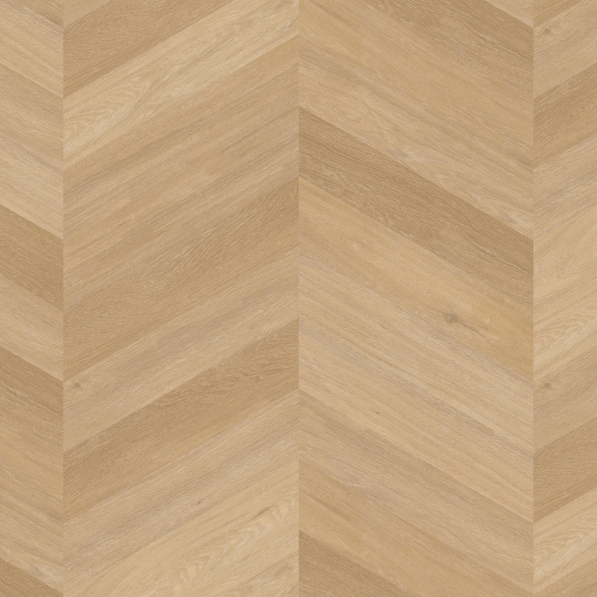 Therdex Chevron Hongaarse punt Rigid Click C6541