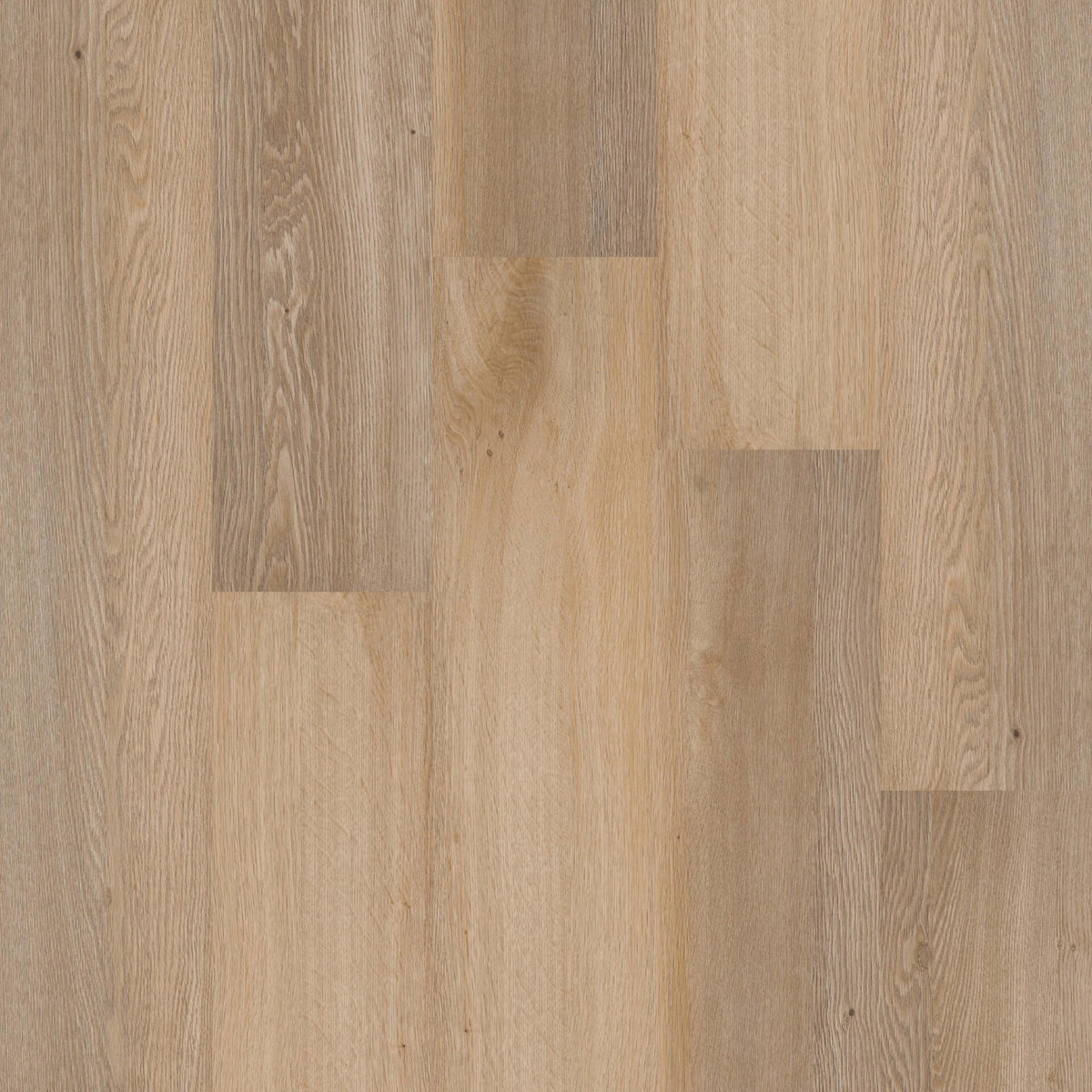 Therdex Premium Rigid Click C70040