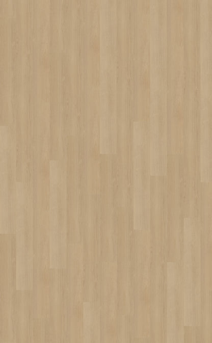 Belakos Futuro 510 PVC