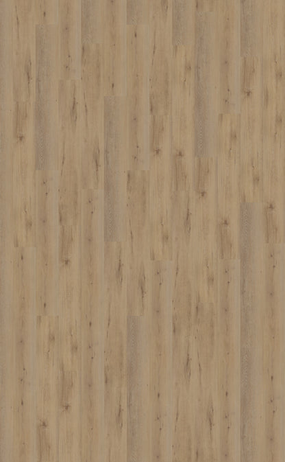Belakos Attico 800 PVC