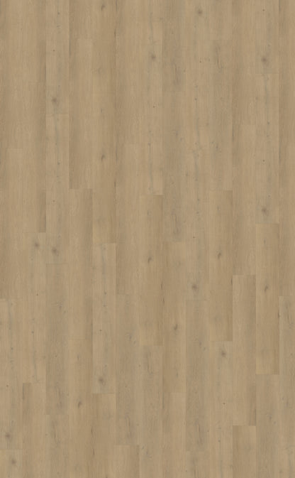 Belakos Attico 870 PVC
