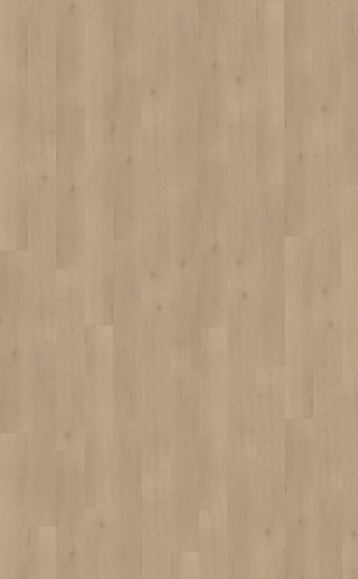 Belakos Palazzo 770 PVC