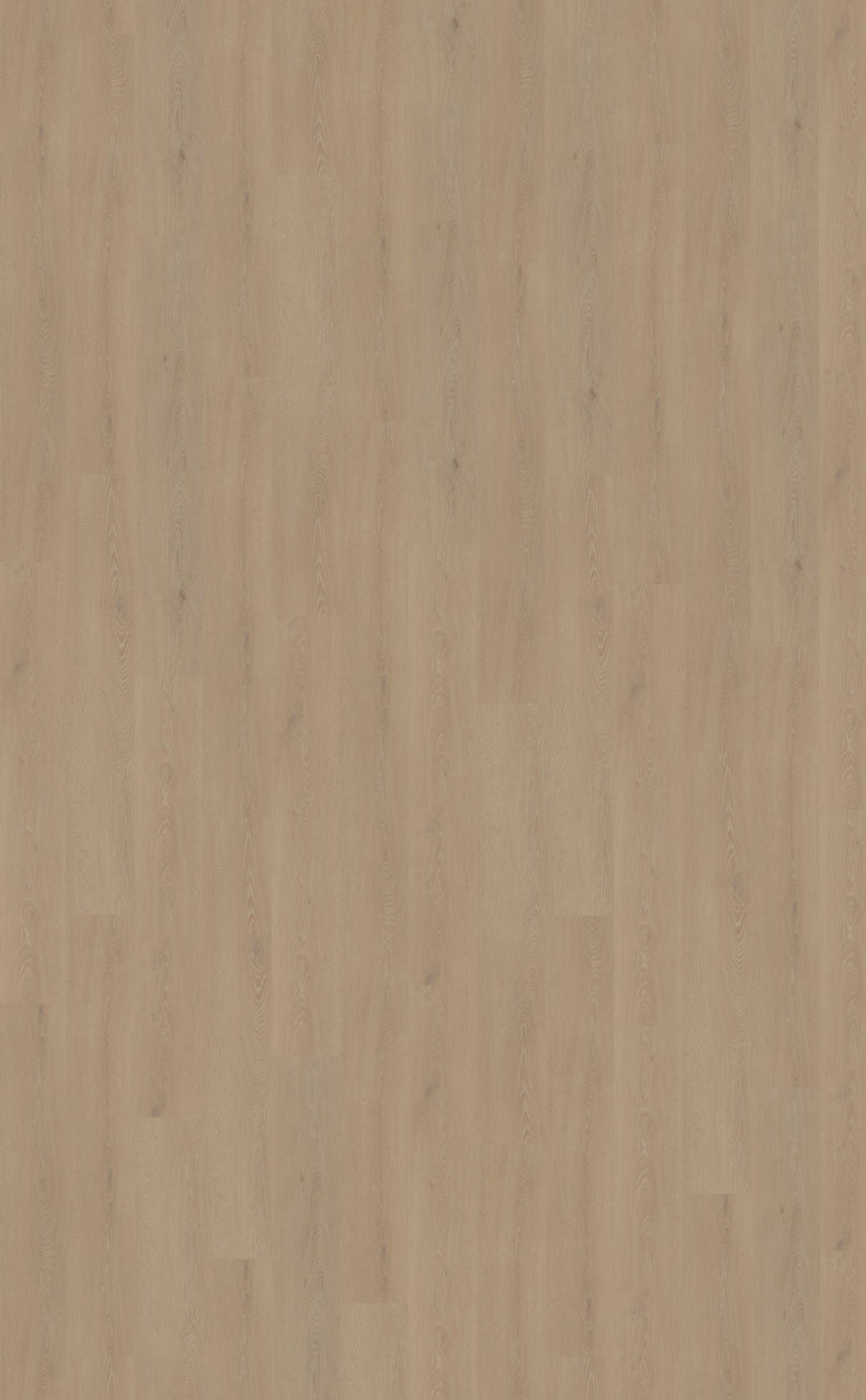 Belakos Cervo XL 210 PVC