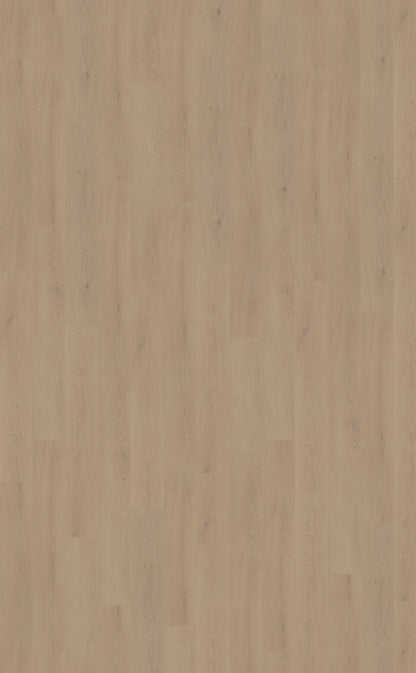 Belakos Cervo XL 210 PVC