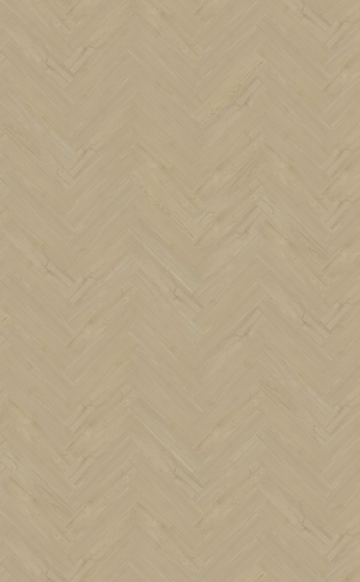 Belakos Portico visgraat XL 57 PVC