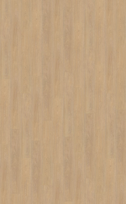 Belakos Terreno 610 PVC