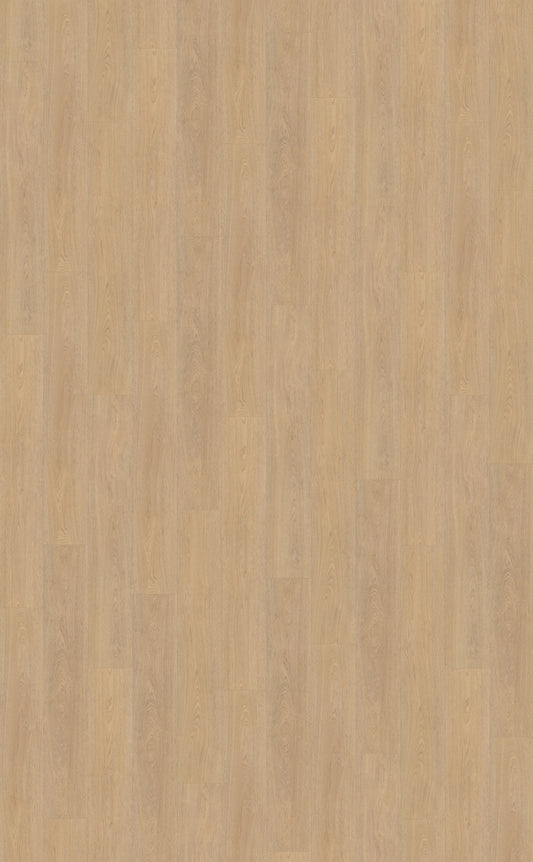 Belakos Terreno 610 PVC