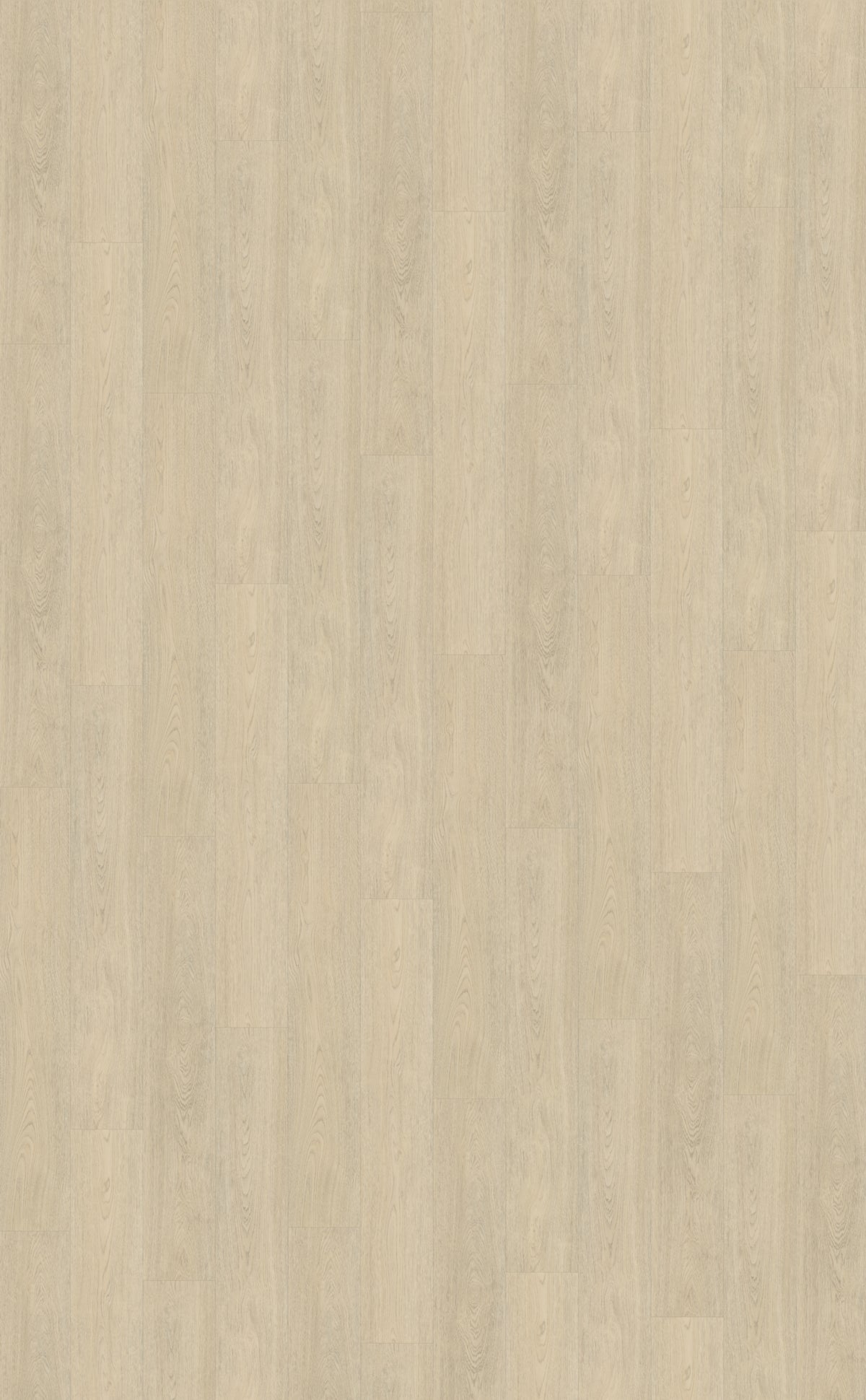 Belakos Terreno 620 PVC