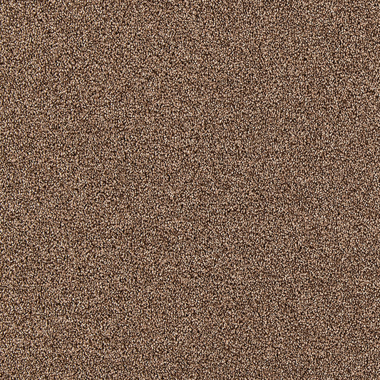 Interfloor Planet Project-SDN tapijt – kleur 900
