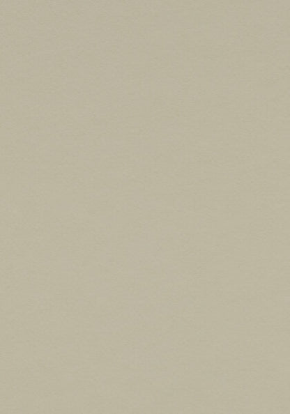 Forbo Walton marmoleum vloer – 3378 Stucco