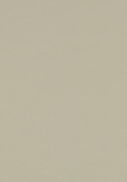Forbo Walton marmoleum vloer – 3378 Stucco