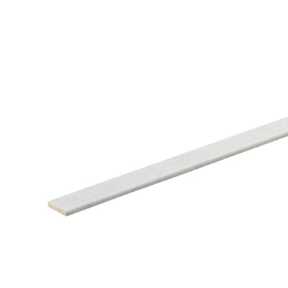 Co-Pro Plakplint – Zilver