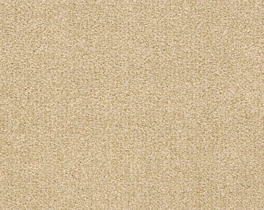 Parade Trento tapijt – kleur 270